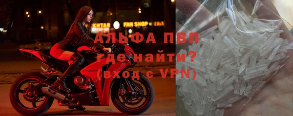 шишки Богданович