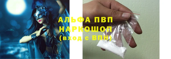 шишки Богданович