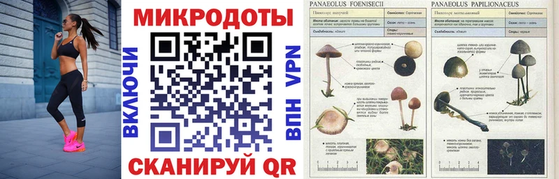 закладка  blacksprut   Галлюциногенные грибы мухоморы  Калининград 